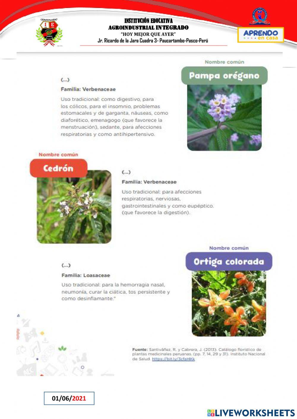 Leemos textos acerca de las prácticas y saberes ancestrales para el cuidado de la salud.