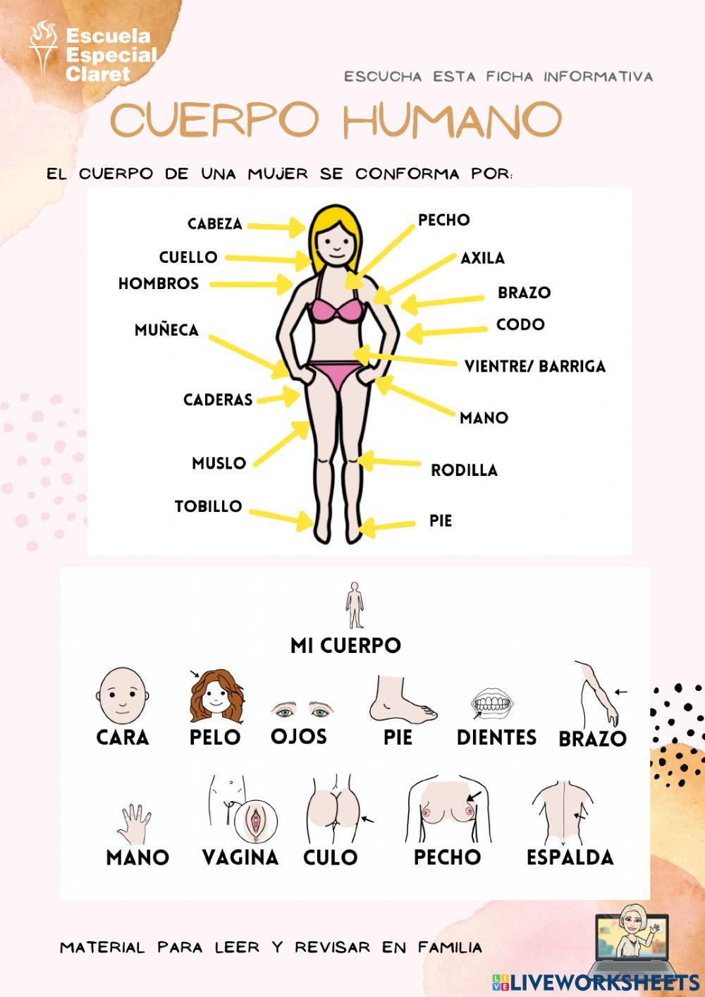 Cuerpo humano