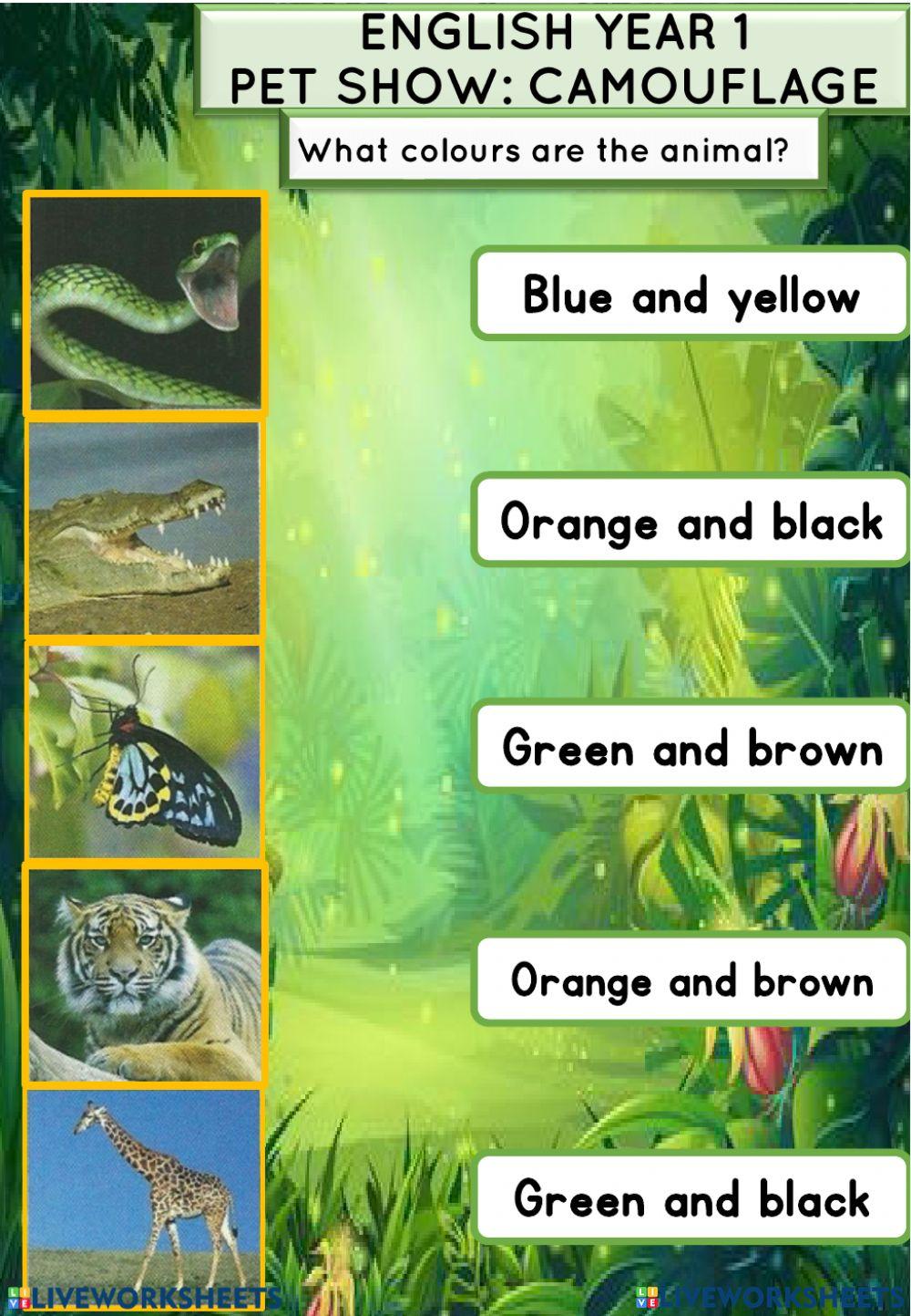 camouflage (20-08-2021)