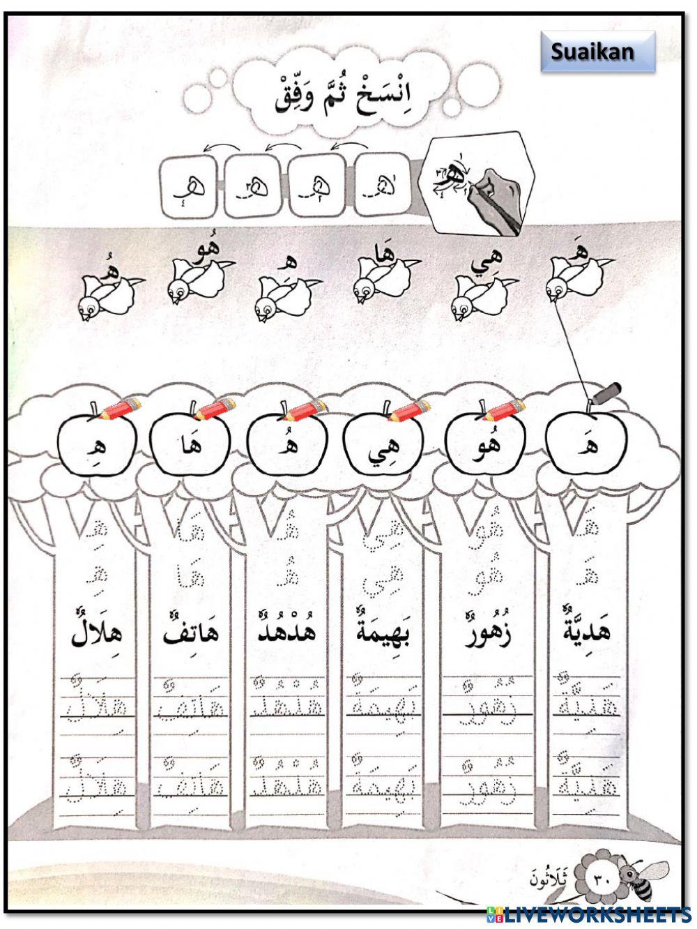 PBD  BAHASA ARAB TAHUN 1 ( HURUF    و هـ )