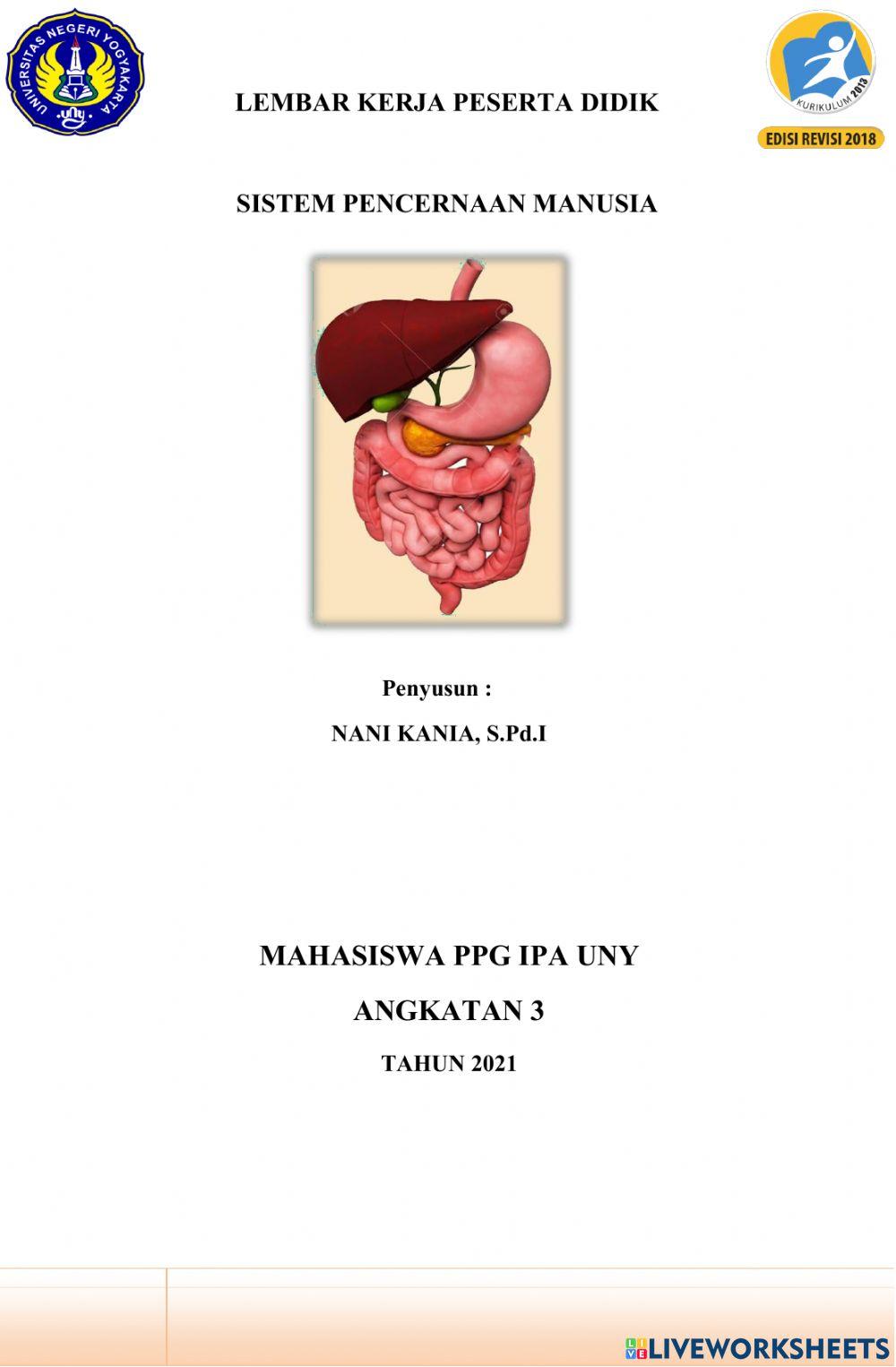 Sistem pencernaan Manuia