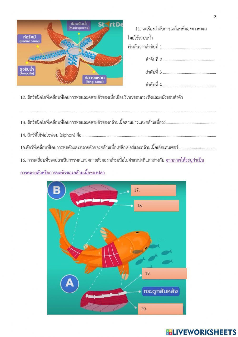 Animal locomotion worksheet | Live Worksheets
