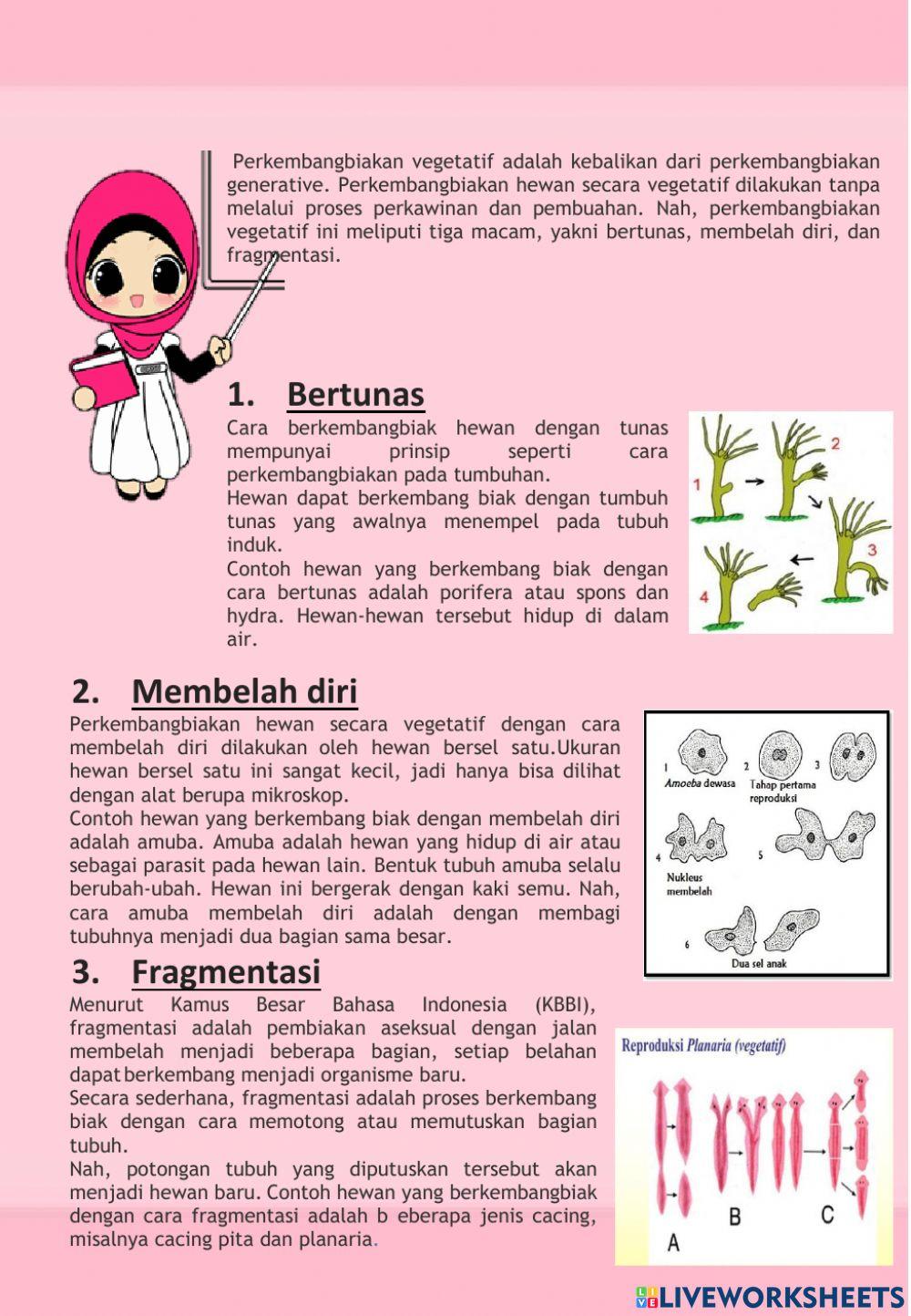 Ilmu pengetahuan alam