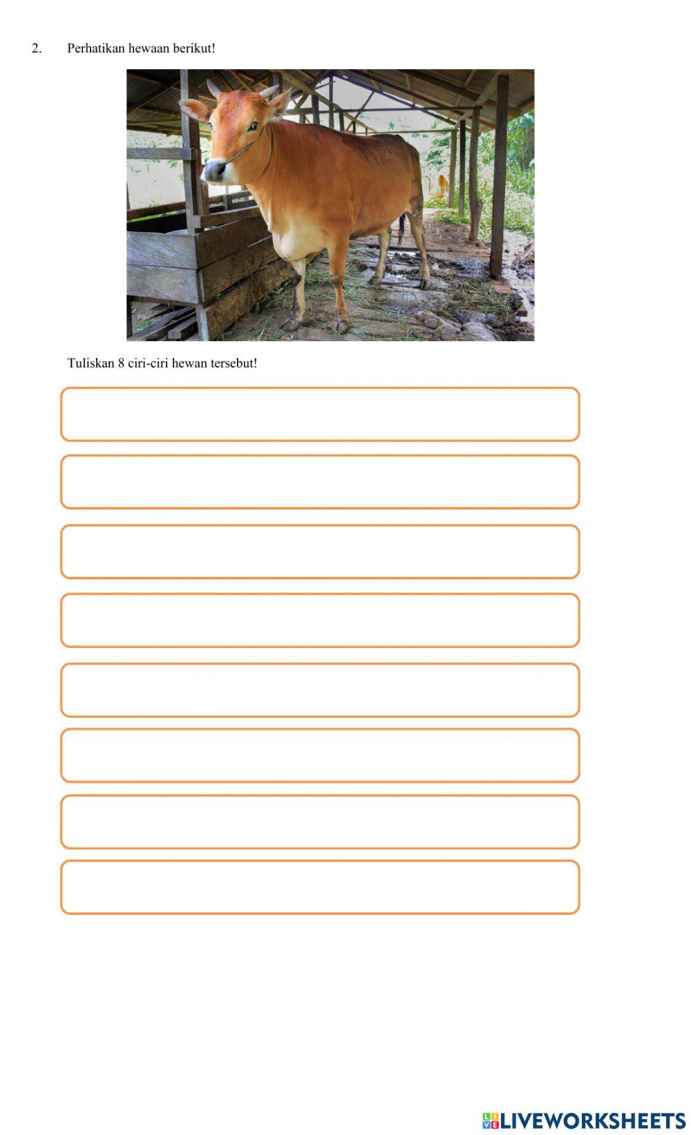 LKPD Klasifikasi Mahkluk Hidup 1