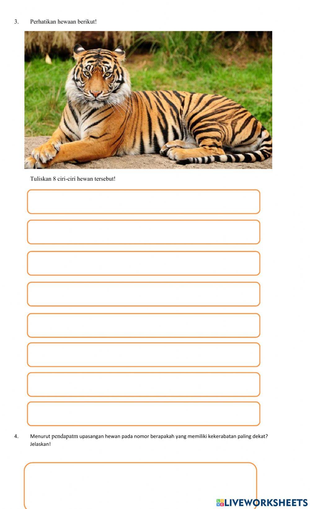 LKPD Klasifikasi Mahkluk Hidup 1