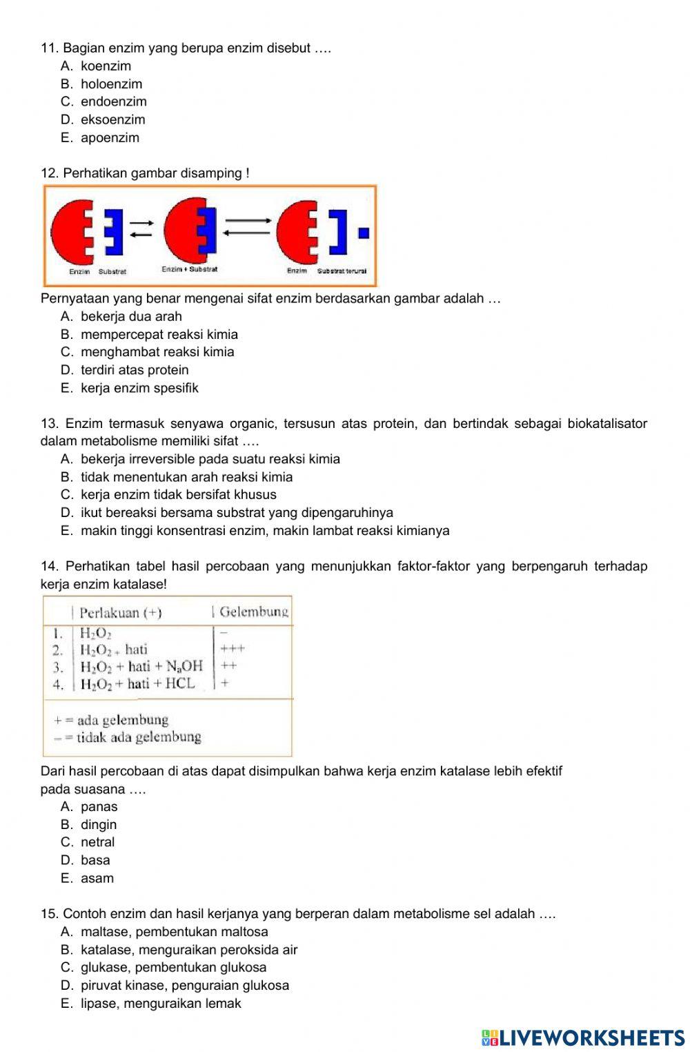Ph metabolisme - enzim & katabolisme