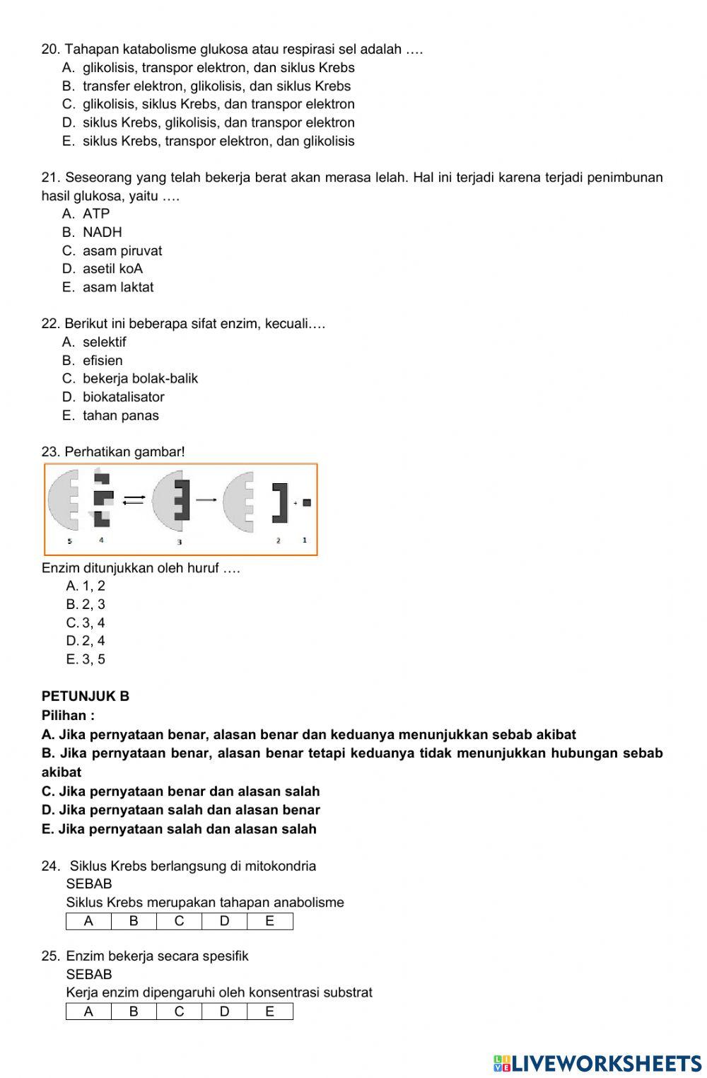 Ph metabolisme - enzim & katabolisme