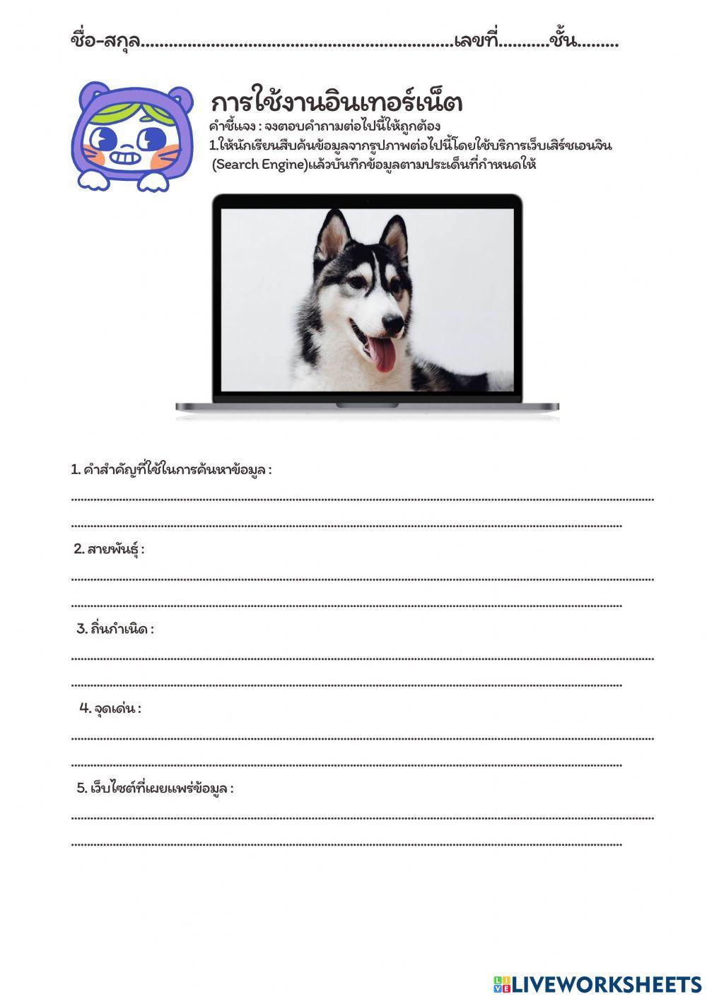 การค้นหาข้อมูล