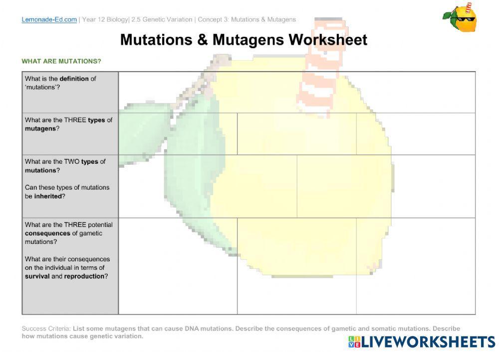 Concept 3: Mutations & Mutagens