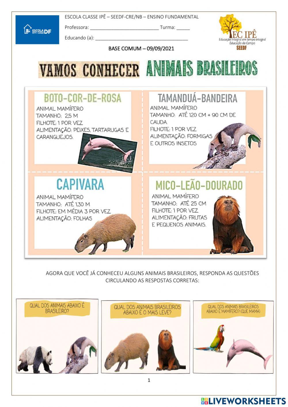Animais brasileiros
