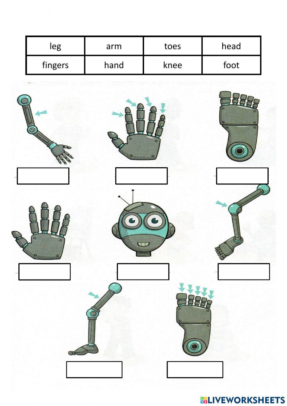 Worksheet 27 Ogos 2021