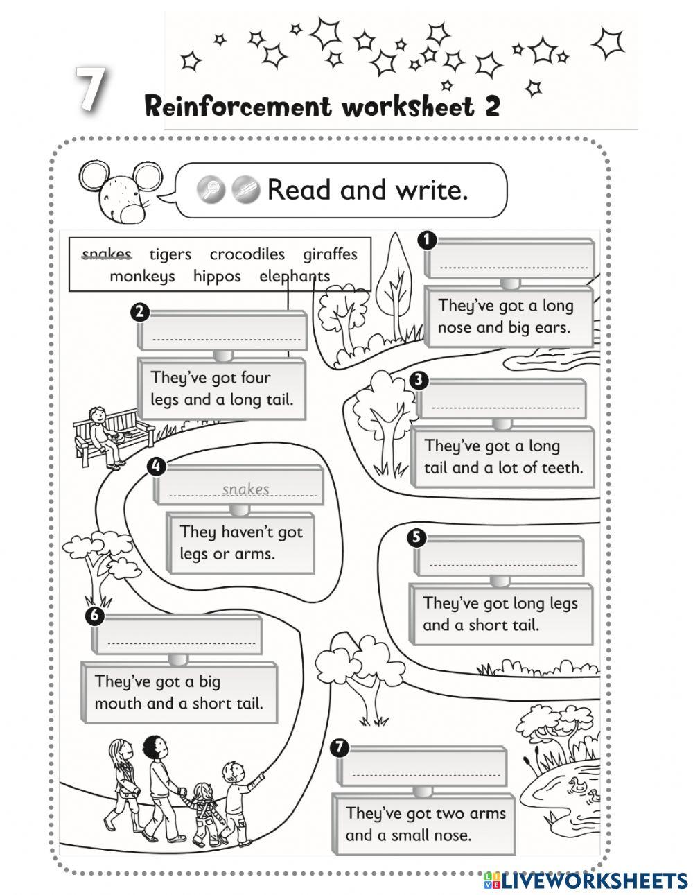 Have Got Descriptions Animals 1st Grade