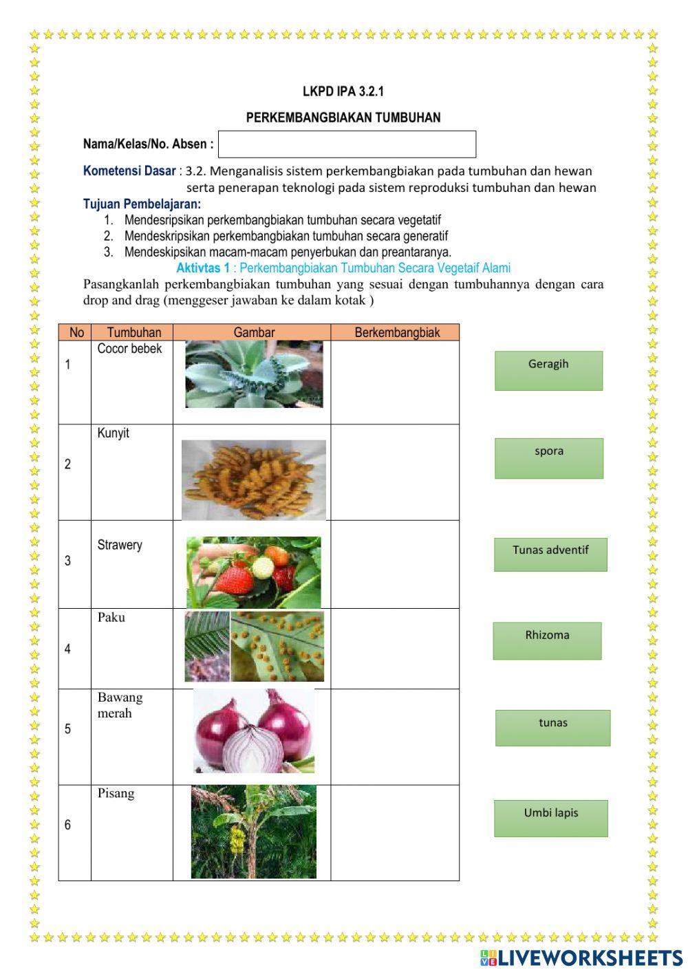 Perkembangbiakan tumbuhan