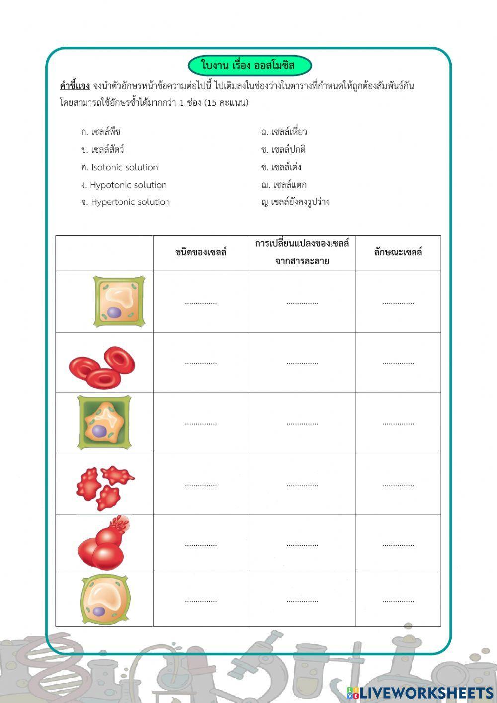 แบบฝึกหัด ออสโมซิส