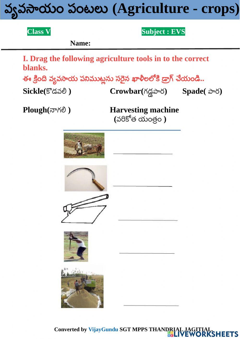 5th evs crops 2 by VijayGundu 5th evs crops 2 by VijayGundu