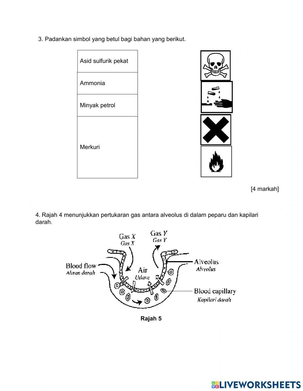 Ujian summatif2 Ogos 2021 BAHAGIAN B