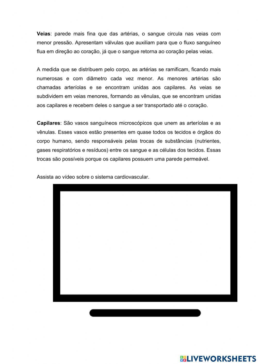 Sistema cardiovascular