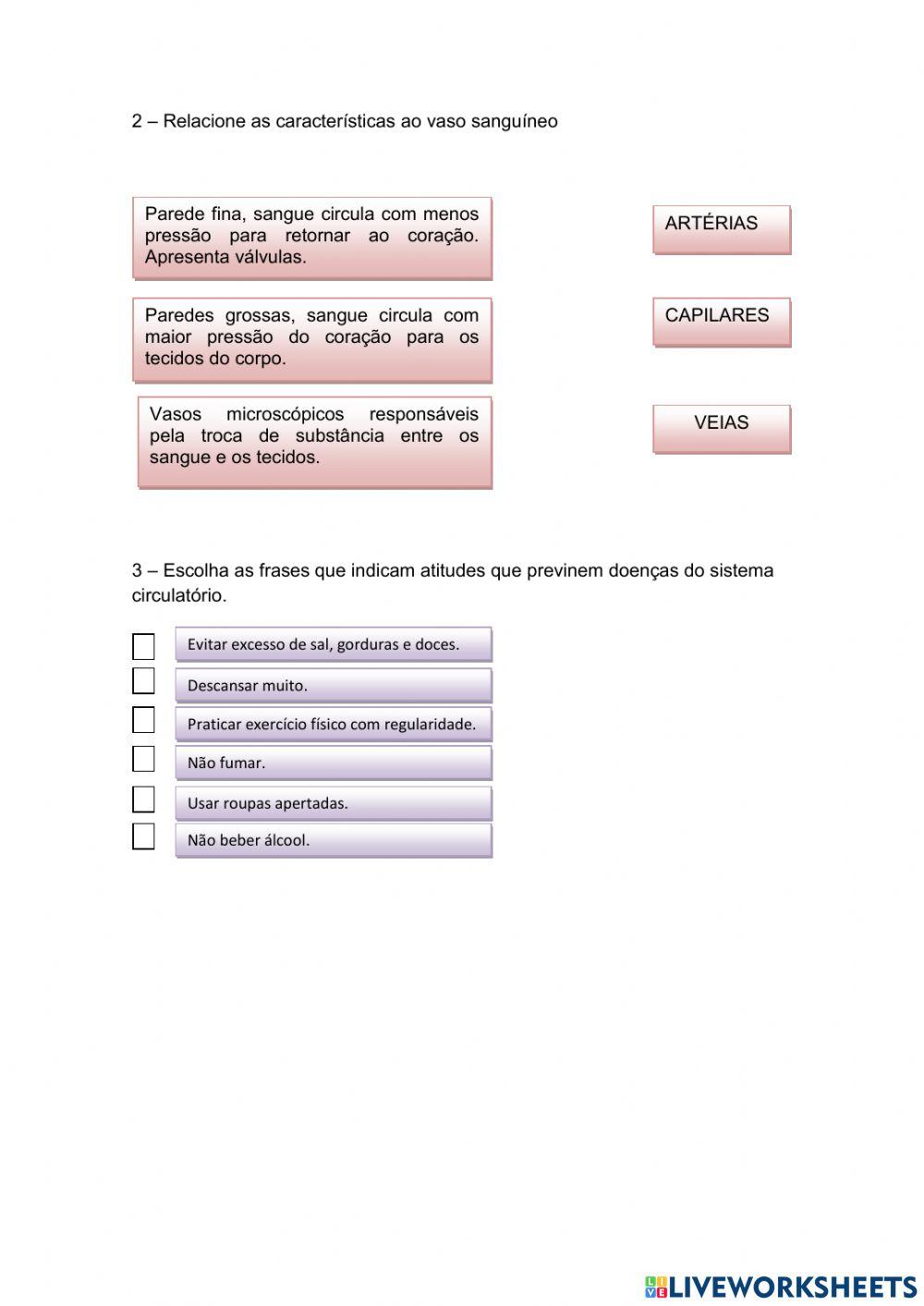 Sistema cardiovascular