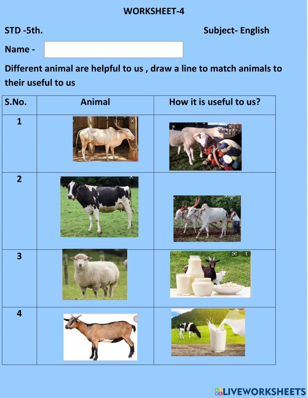 Animals and their usefulness