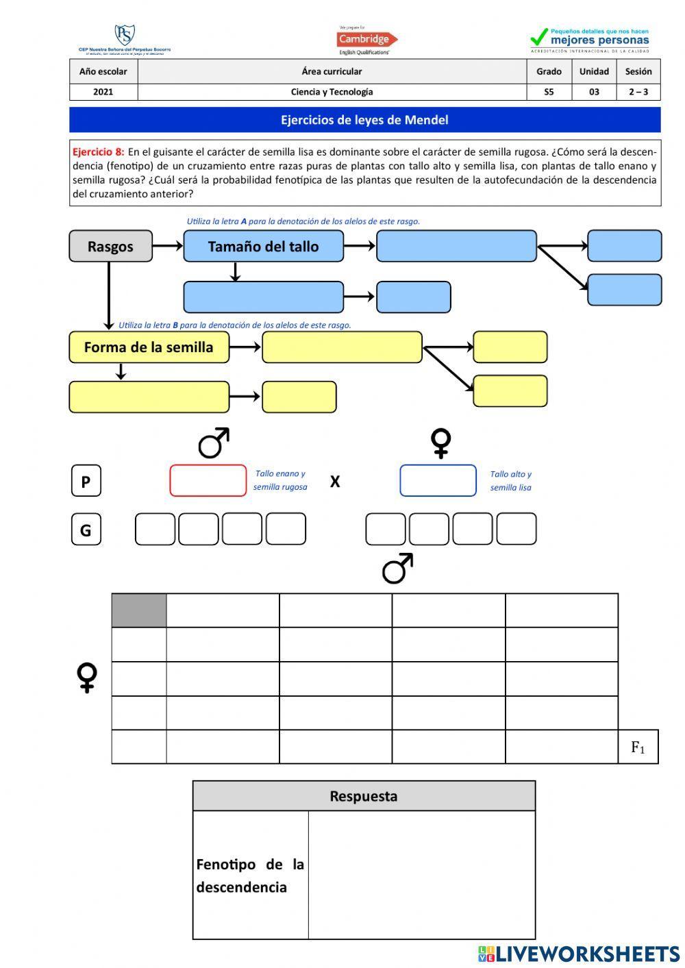 Ejercicio 8 - Leyes de Mendel