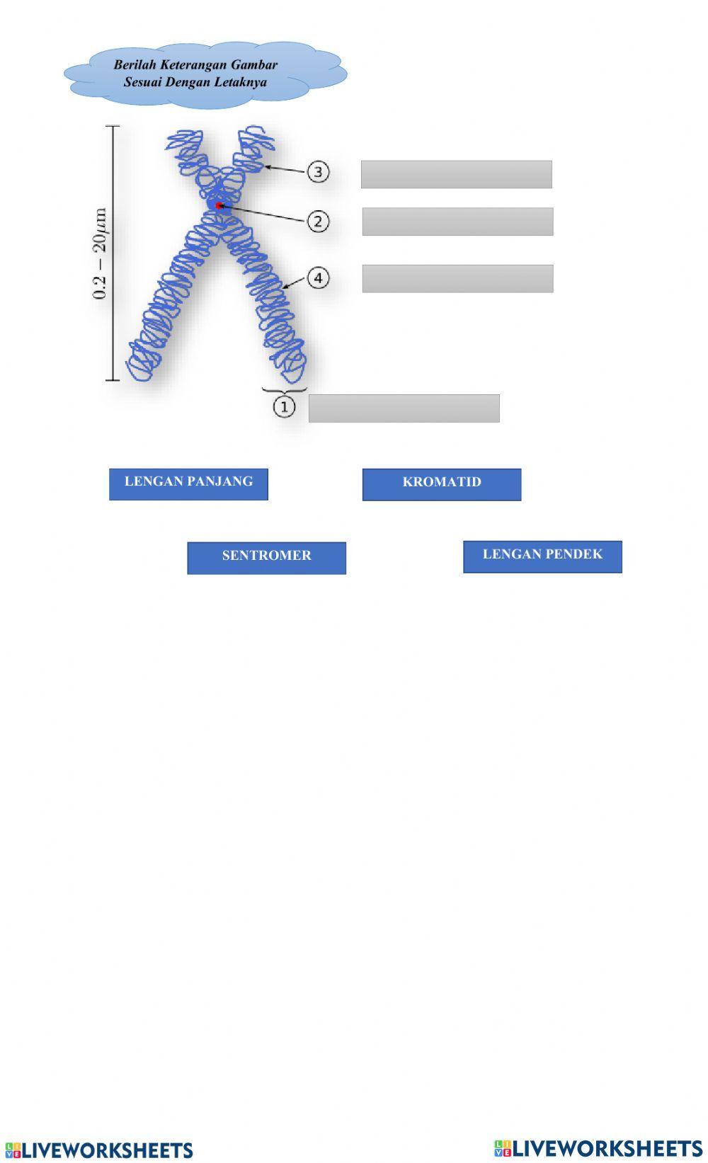Terminologi Persilangan