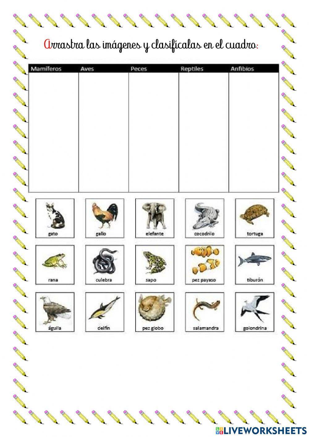 Animales vertebrados