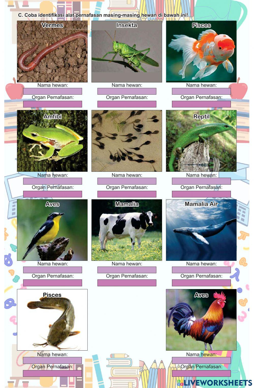 LKPD IPA Tema 2 ST 1