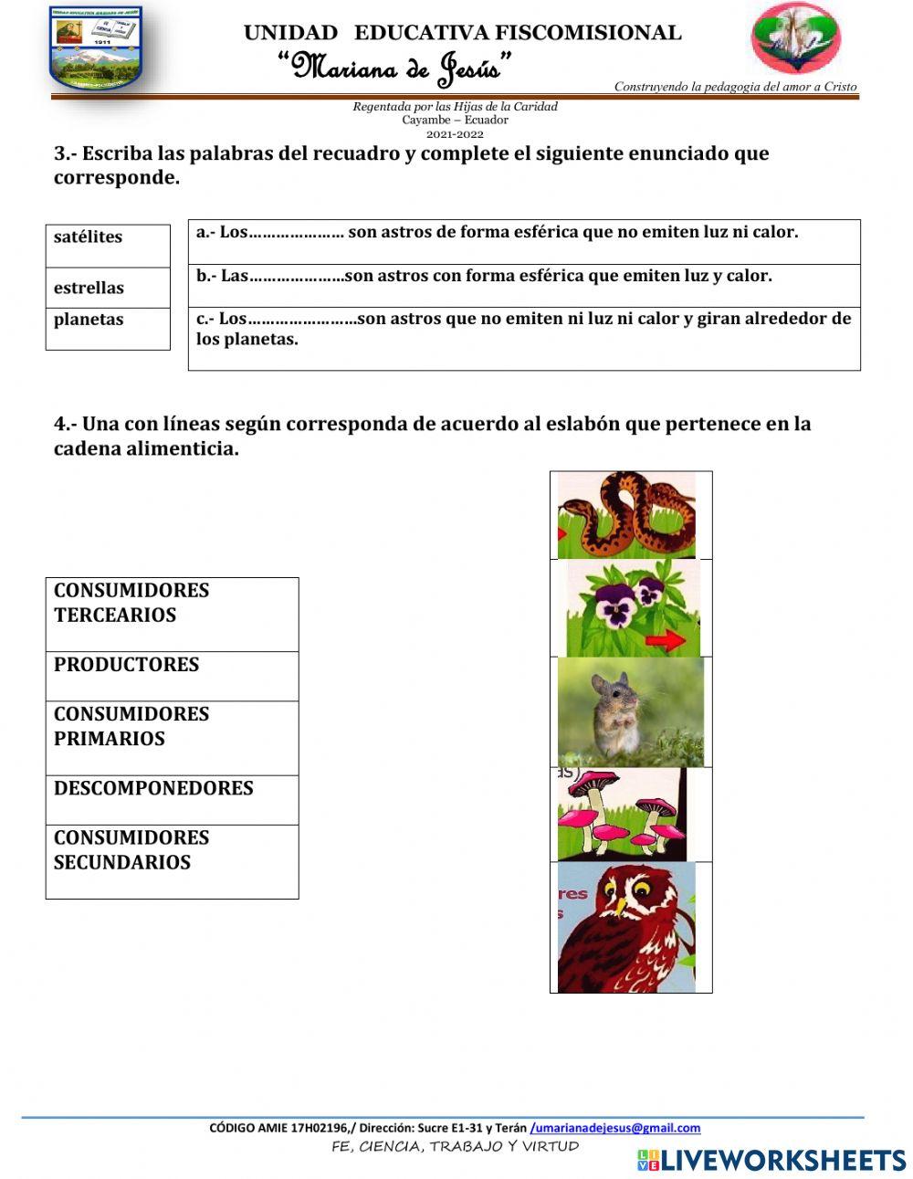 Prueba de diagnóstico de Ciencias Naturales