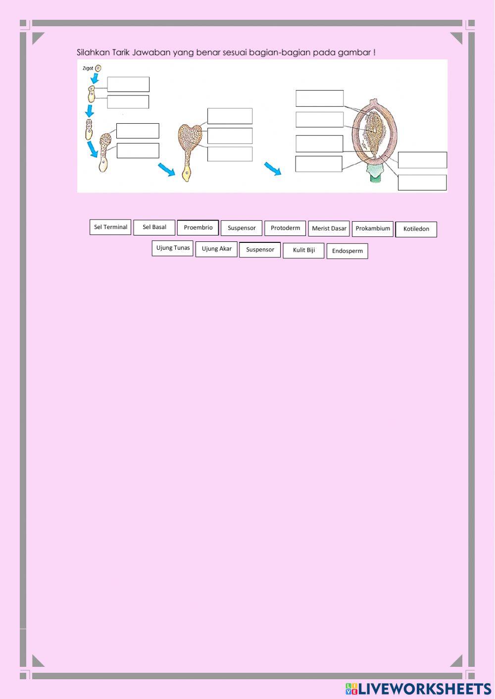 LKPD 1 Pertumbuhan dan Perkembangan