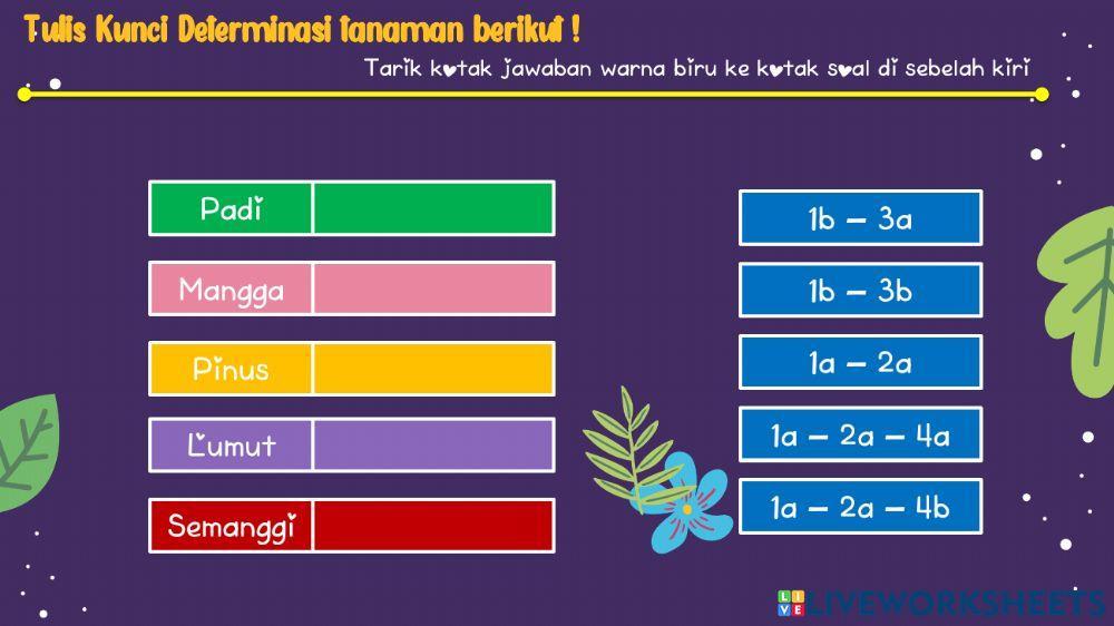Kunci dikotomi dan kunci determinasi