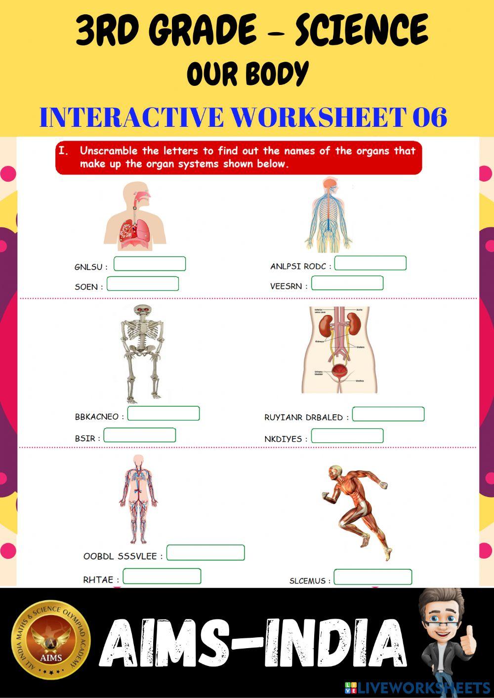 3rd-science-ps06-our body