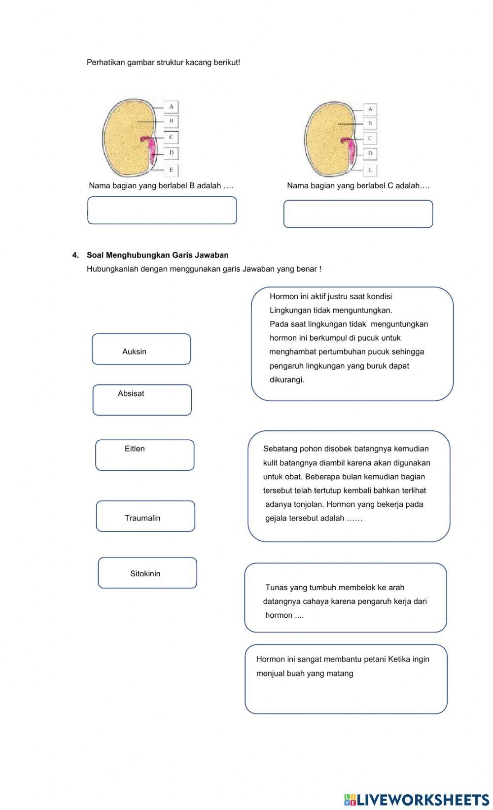 LKPD 1.1 Perkecambahan