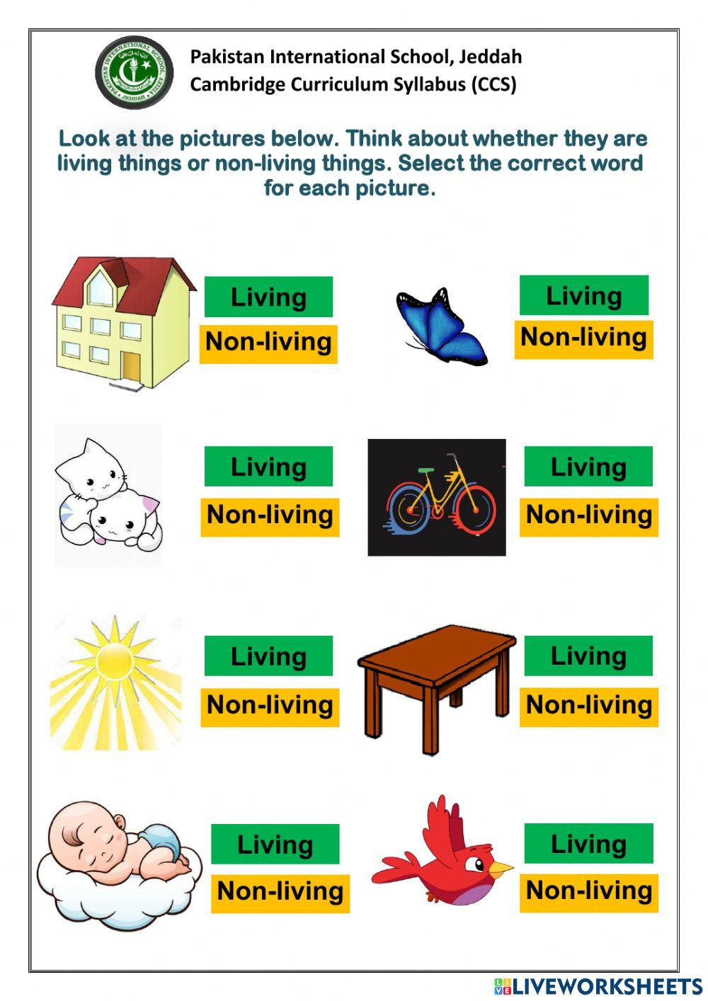 Living and non living things