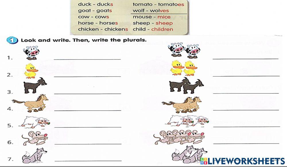 Year 3: Plural nouns