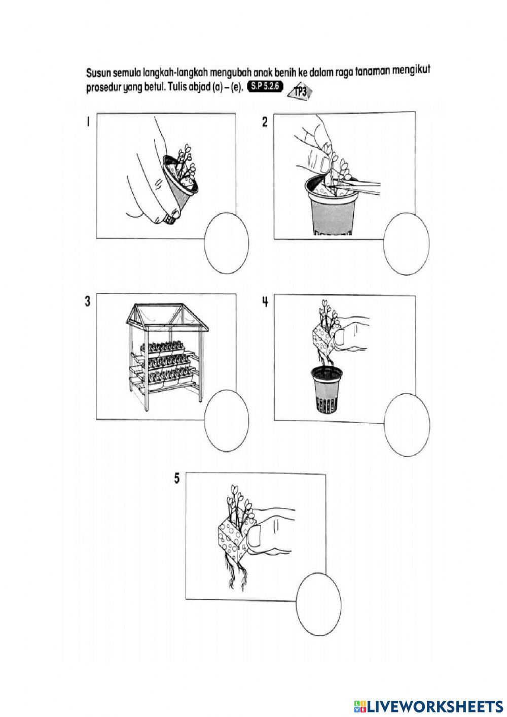 Teknik tanaman benih