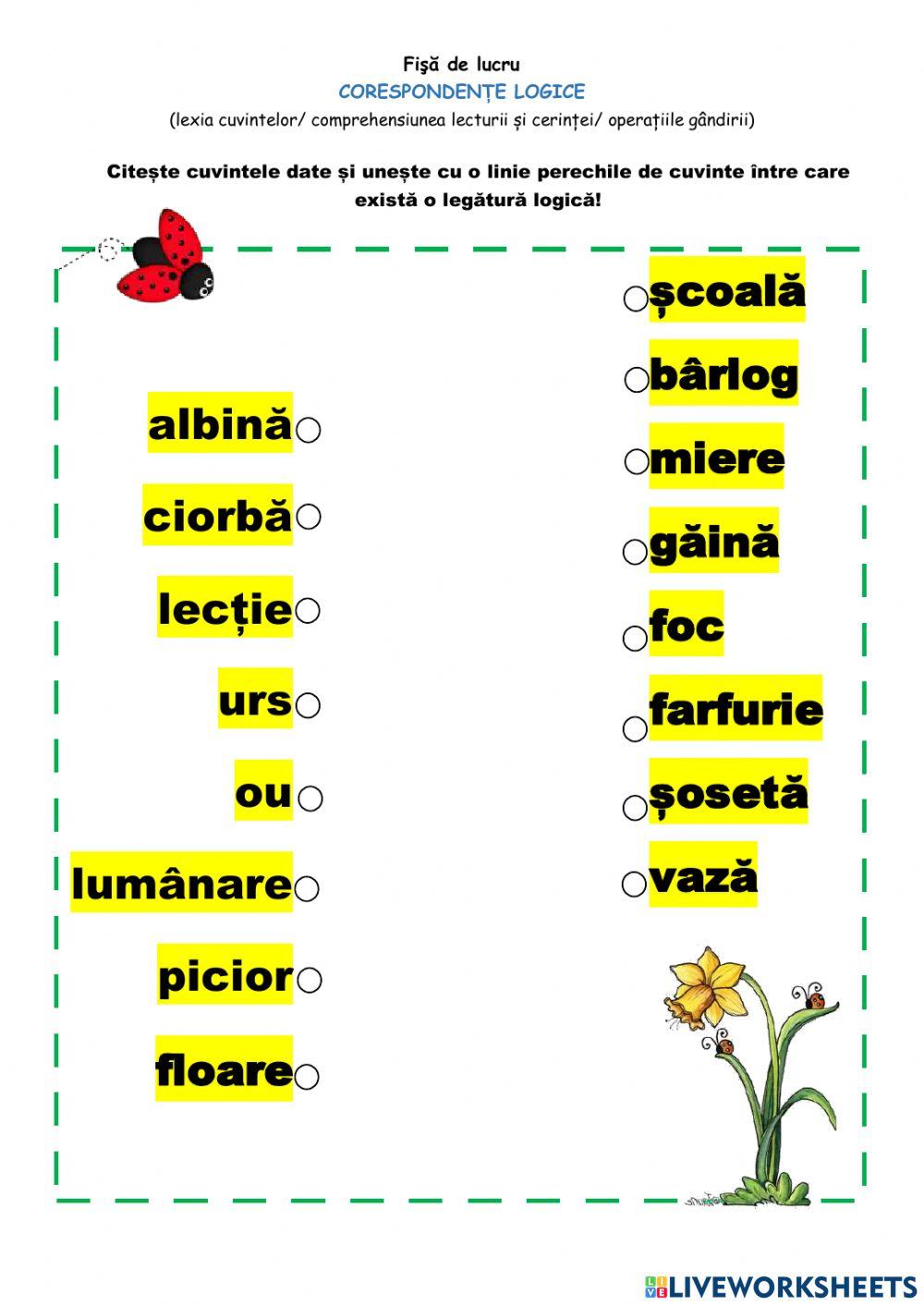 Asociază logic cuvintele!