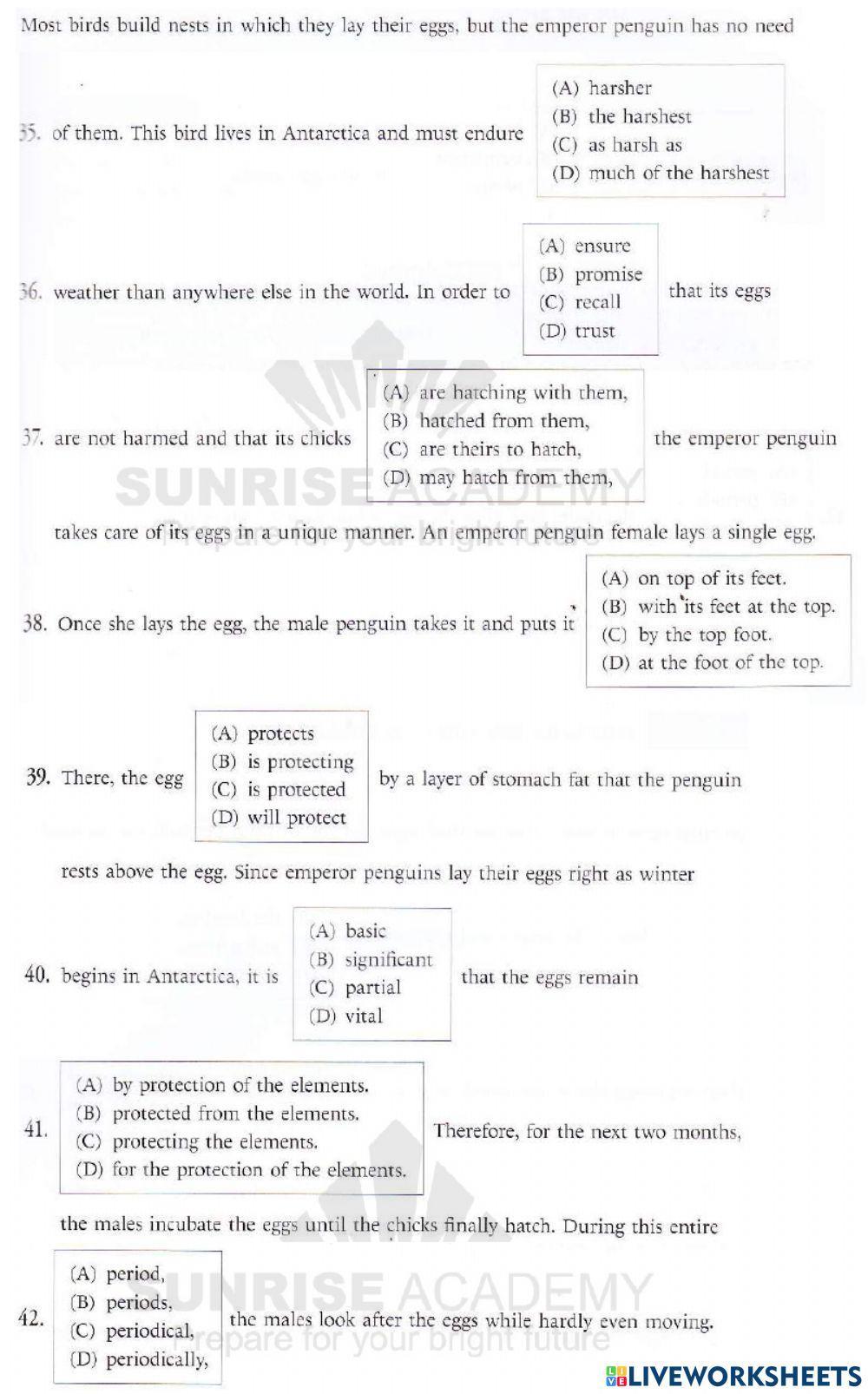 TOEFL Junior grammar test 1
