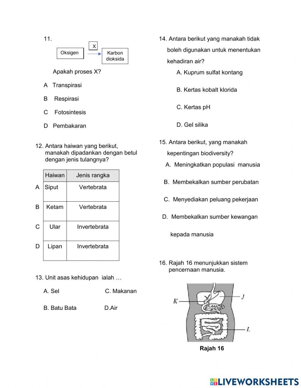 Ujian summatif2 2021 BAHAGIAN A-B