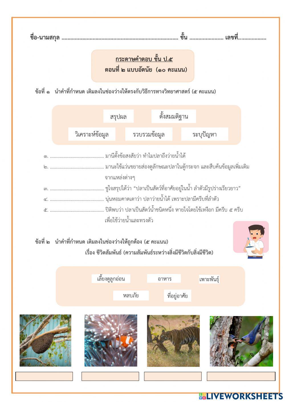อัตนัย ป.5