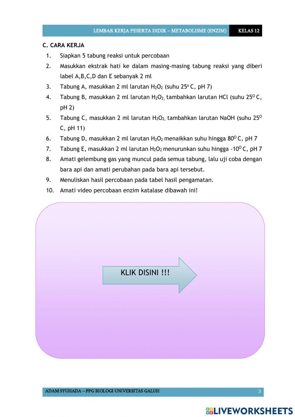 LKPD Enzim Katalase
