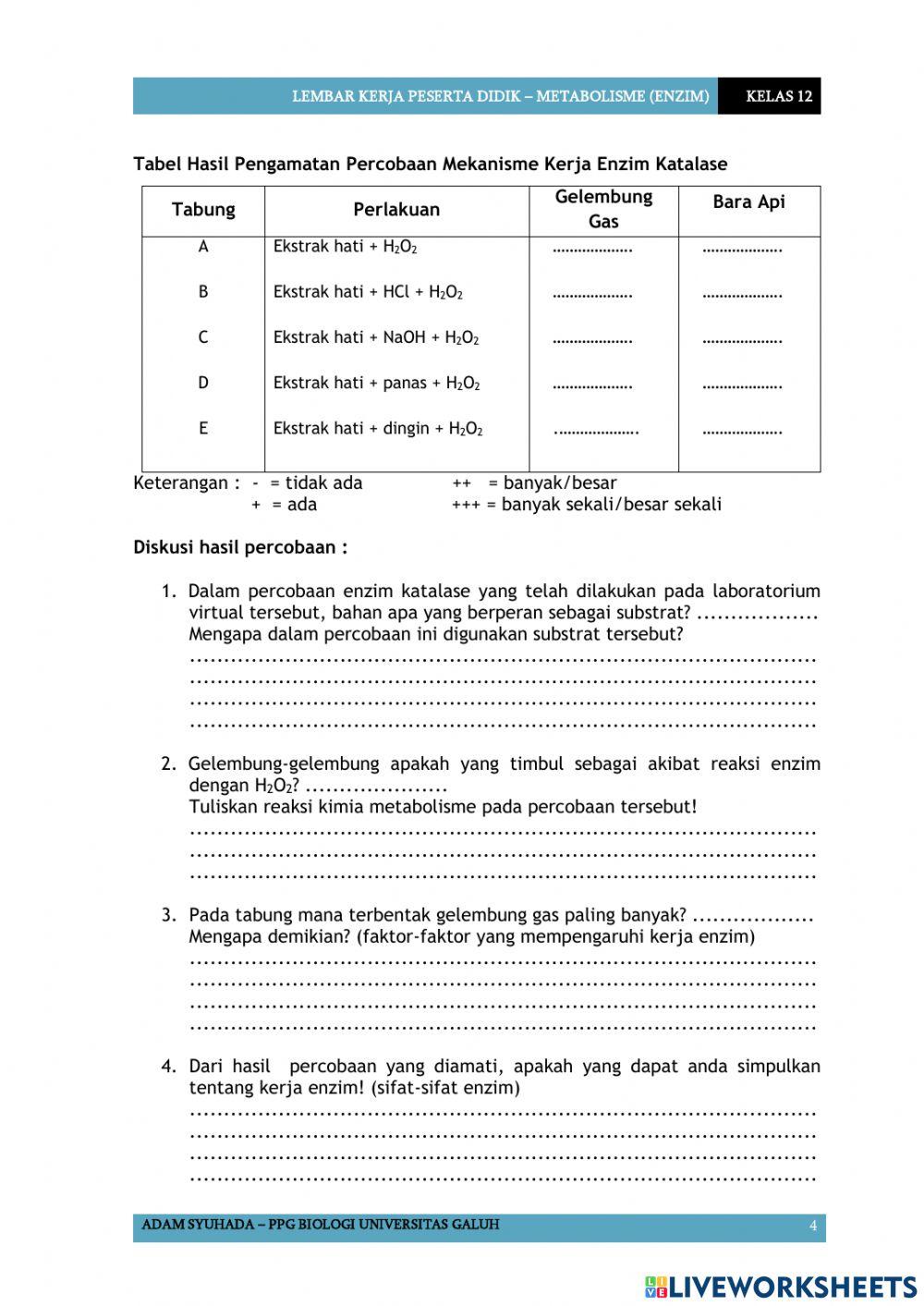 LKPD Enzim Katalase