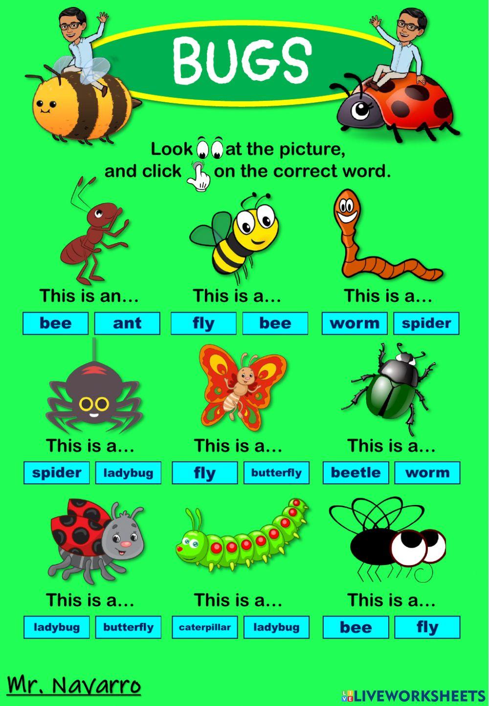 Bugs (Look at the picture and click on the correct word)