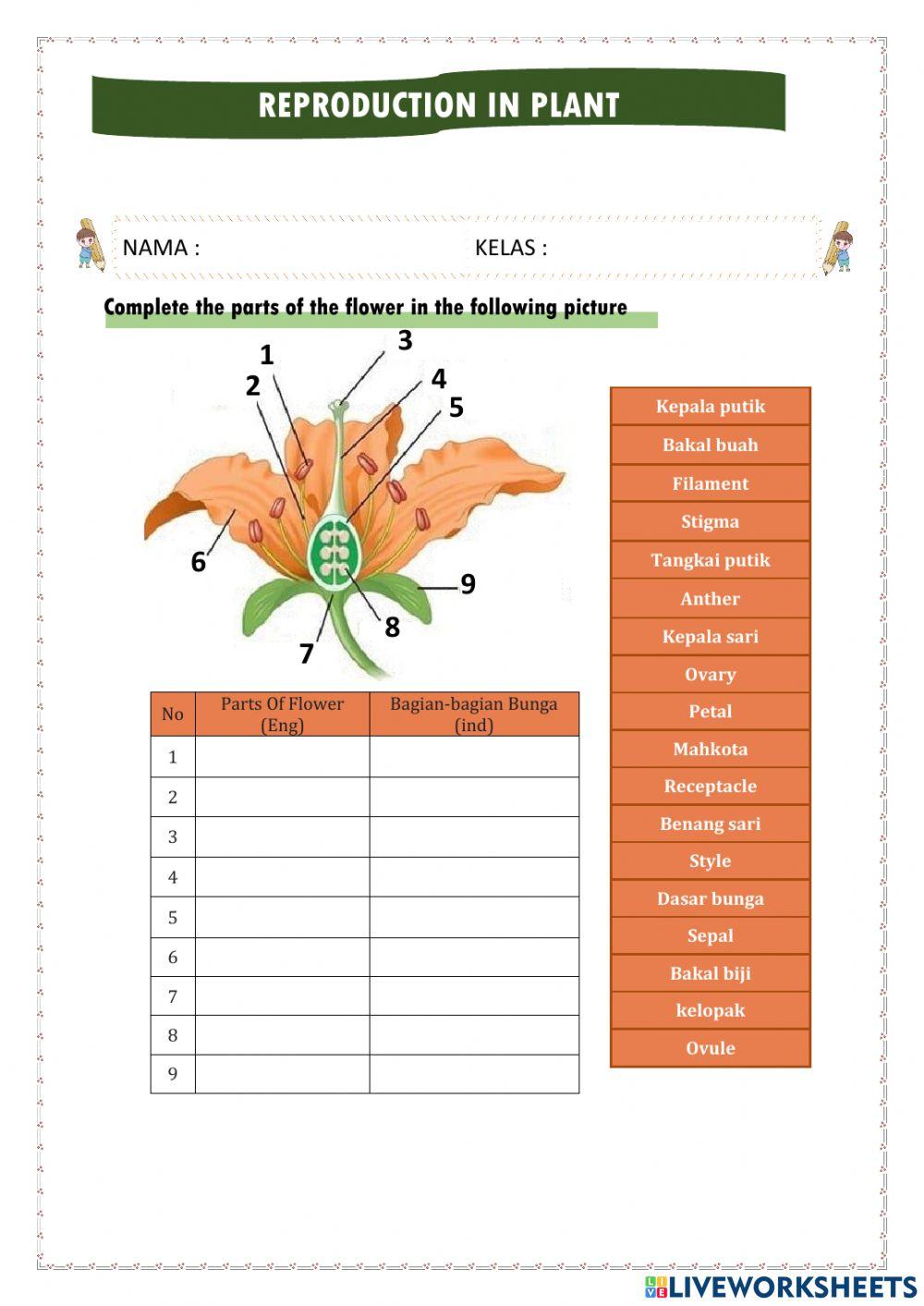 Sistem reproduksi pada tumbuhan