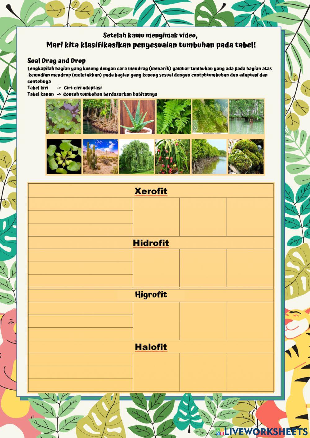 Live 1 - Penyesuaian diri tumbuhan terhadap tempat hidupnya