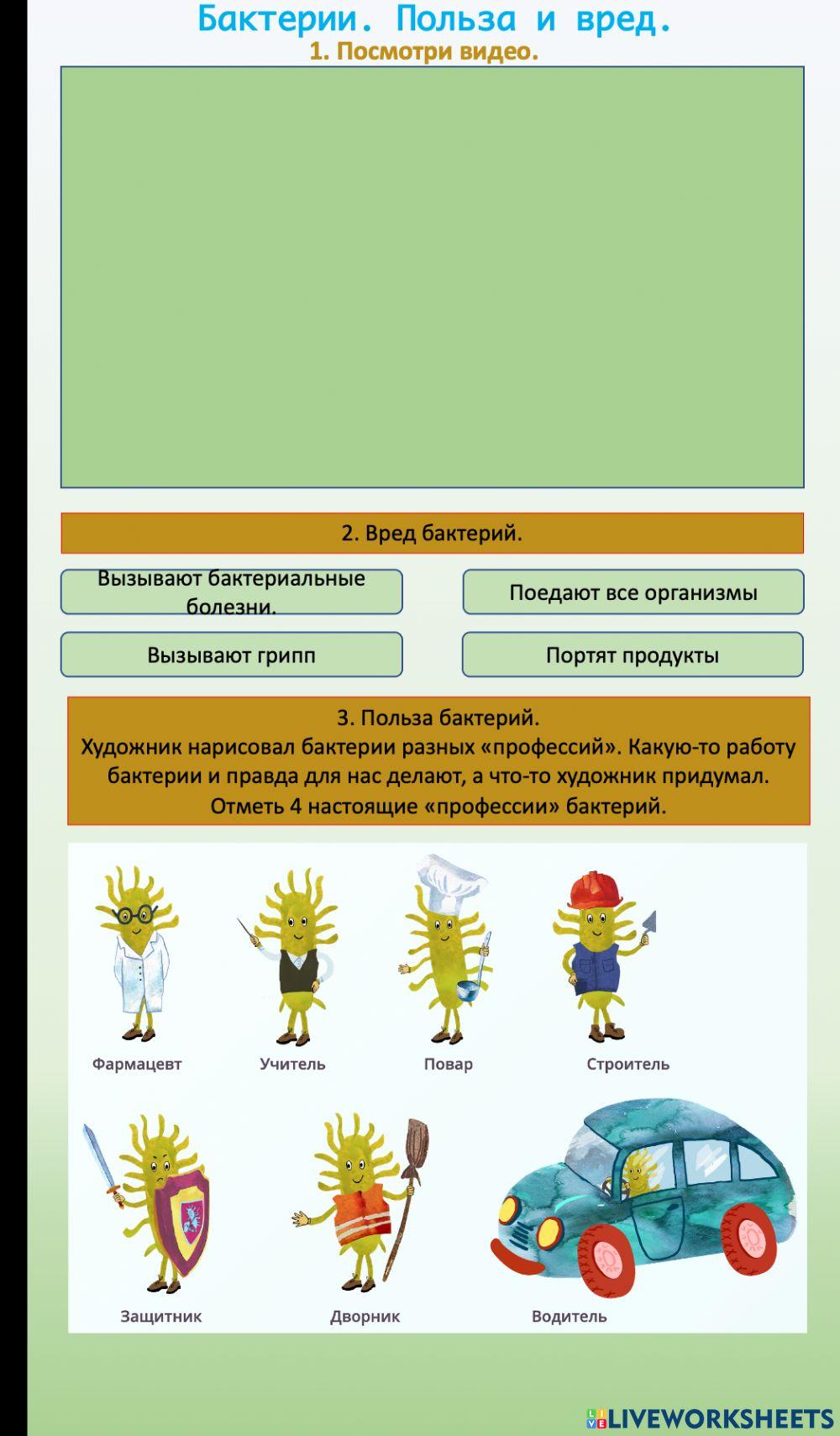 Бактерии. Польза и вред.