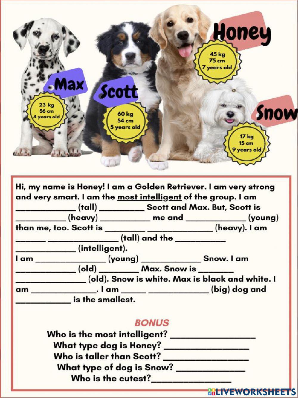 Comparative and superlative