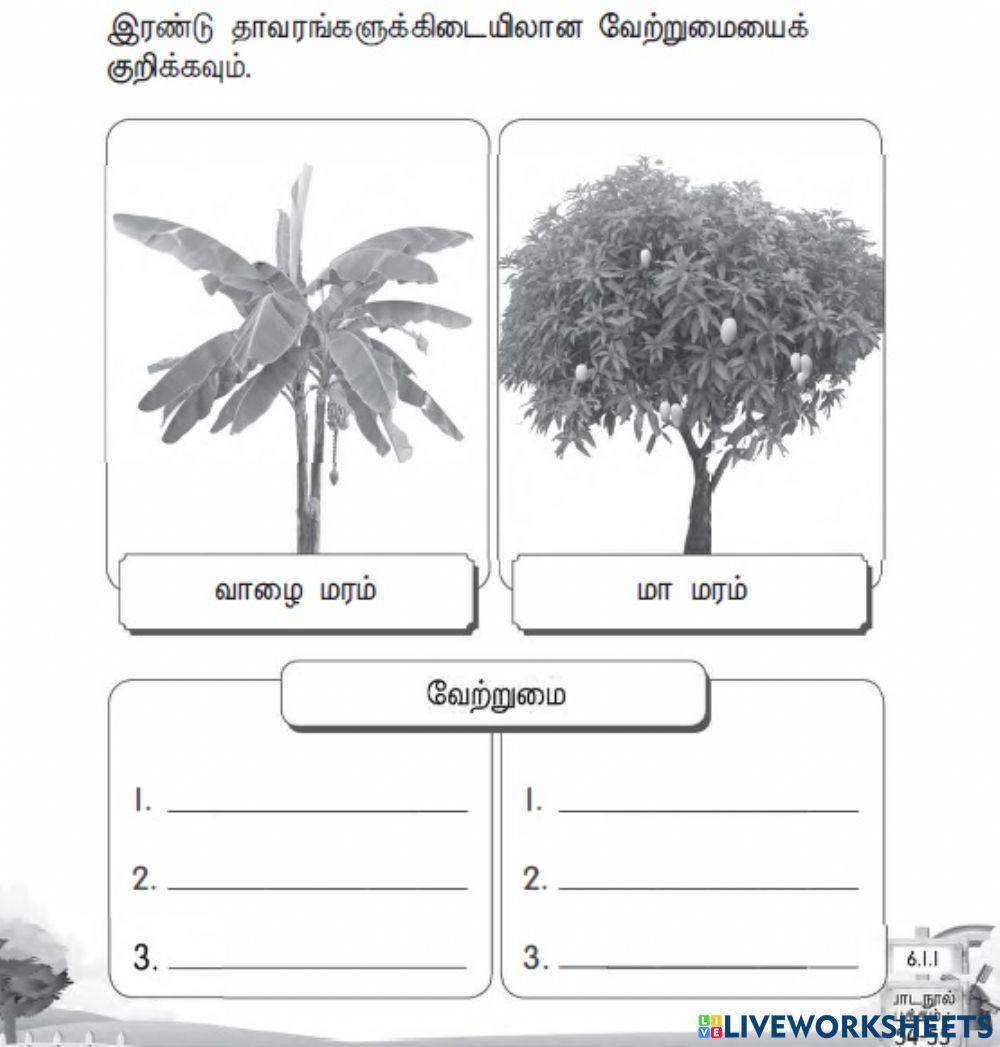 தாவரங்கள்-பக்கம் 35