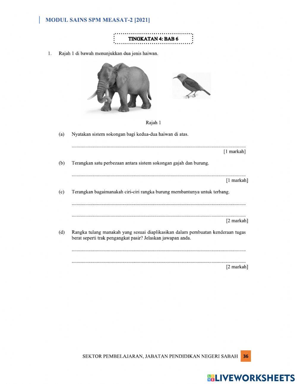 Sokongan, pergerakan dan pertumbuhan