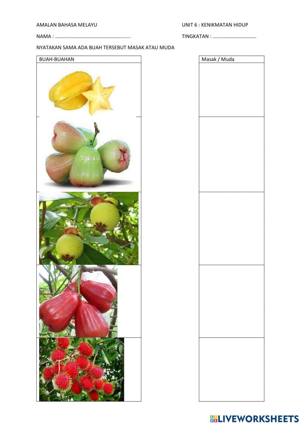 Amalan bahasa melayu