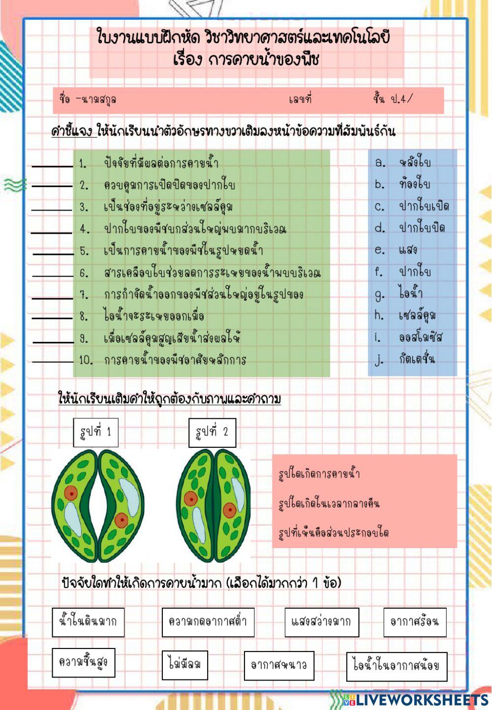 การคายน้ำของพืช